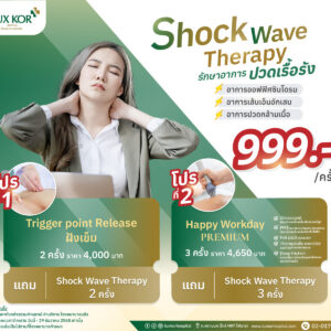 โปรแกรมกายภาพบำบัดลดอาการปวดเรื้อรัง