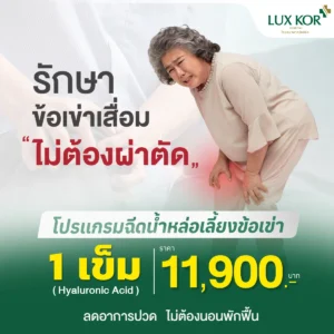 โปรแกรมฉีดน้ำหล่อเลี้ยงข้อเข่า Plus+ (Hyaluronic Acid) 1 เข็ม